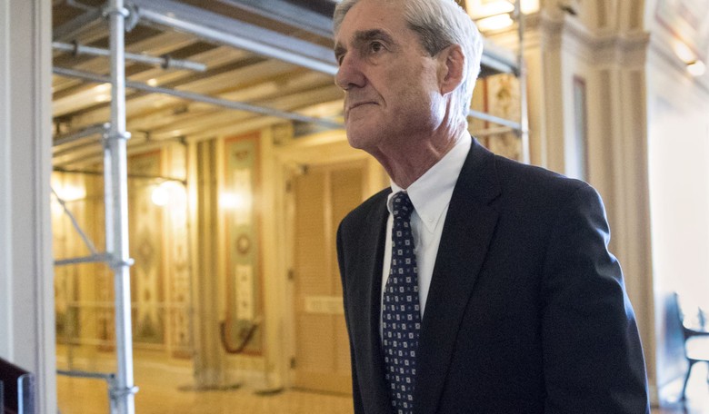 What Is Robert Mueller Looking For?