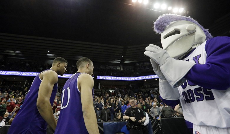 Iggy the Crusader Victimized by a Misguided Crusade