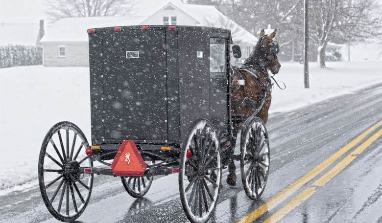 The Amish Don't Vote. Why This Year Could Be Different