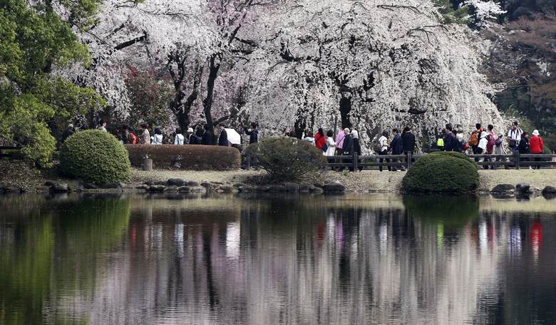 Gratitude for Spring in the Air and Other Things