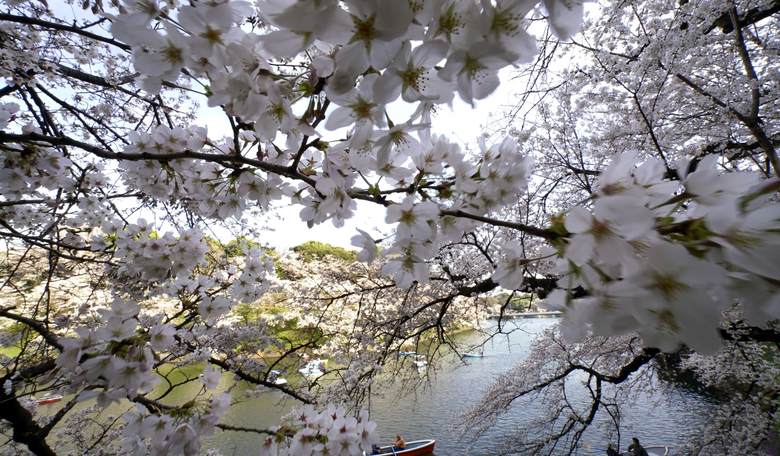 Will the Coronavirus Recede as the Spring Arrives?