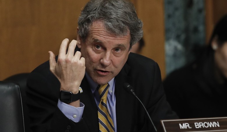 Populist Sherrod Brown Could Be the Perfect Democrat for Trump Country
