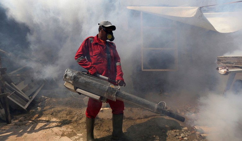 Children Die When 'Eco-Lies' Disrupt the War Against Mosquitoes