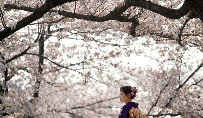 Two Faces Speaking: When Language Barriers Disappear