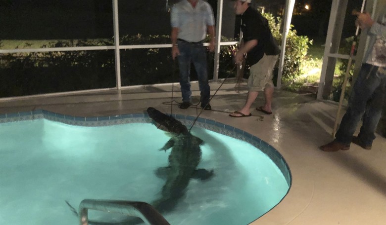 A Look Back: The Top (Bottom?) Florida Man Stories of 2023