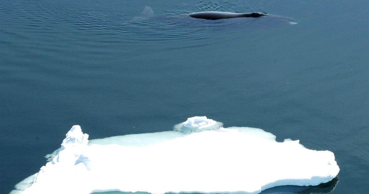 So, the Climate Change Narrative Just Took a Broadside. Want to Guess What It Was Over?