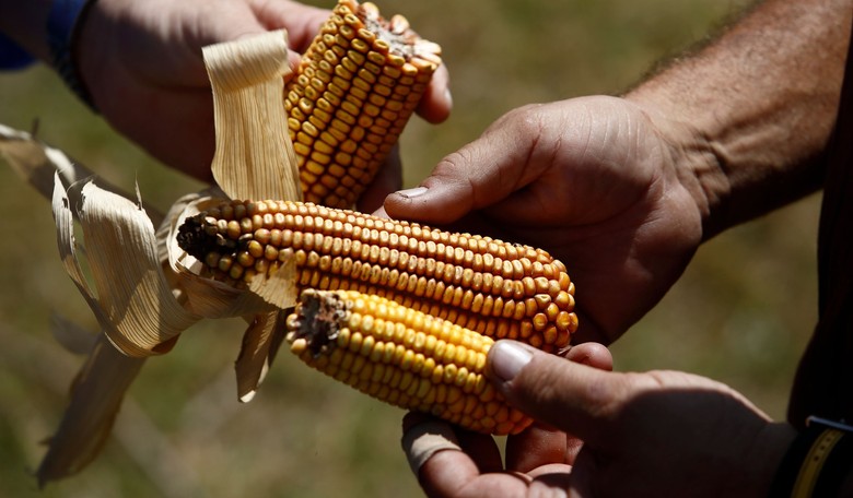 The Ethanol Industry Is Starting to Hedge Its Political Bets