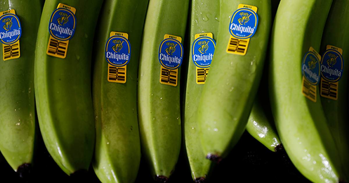 “American Heartland under Threat: Crisis as Farms Vanish at Alarming Rate”