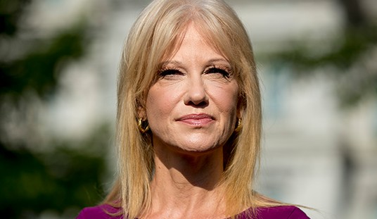 No Time for 'Petty, Partisan Politics': Kellyanne Conway Hits Back on Dem Talking Points in Fox Interview