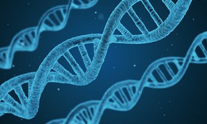 New Biohacker Company Plans to Create Real-Life Unicorns. What’s the Catch?