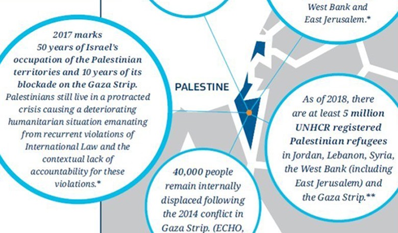 New Zealand 'Factsheet' Wipes Israel From the Map, Replaces It With Palestine