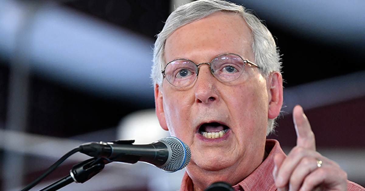 The Murder Turtle Is Losing It