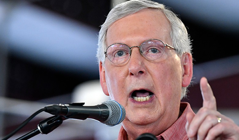 The Murder Turtle Is Losing It