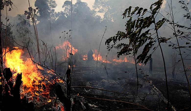 Environmentalist Censored for Opposing Climate Alarmism
