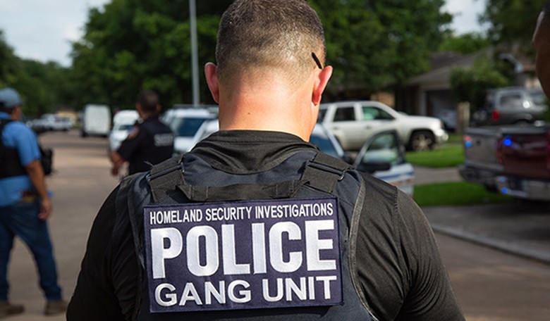 A Major Talking Point About Illegal Aliens and Crime Just Went Up in Smoke 