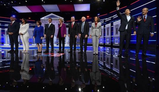 Profiling the Democrats: A Summary