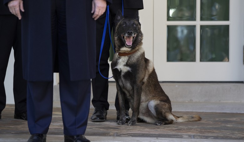 CNN Did Not Air Hero Dog Conan's Visit to the White House Live