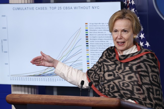 Surprise, Surprise: Look Where Birx Just Landed a New Job - Vimarsana News
