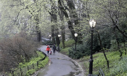 NYC Disarms the Law-Abiding While Predators Prowl Central Park