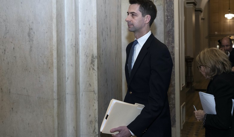 Sen. Cotton Leads Resolution to Demand Justice for Floyd and Condemn 'Defund the Police' Movement