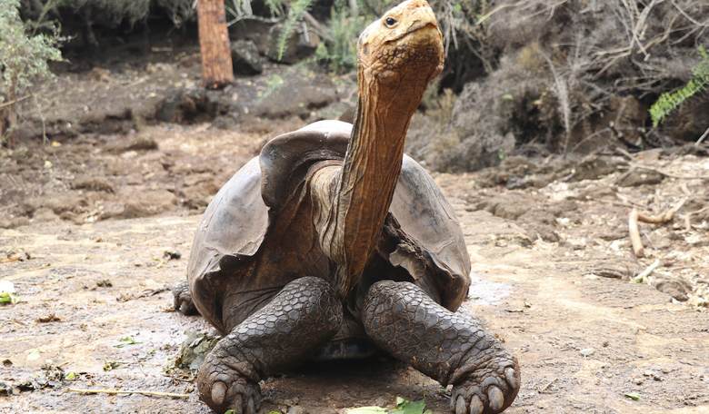 Maybe Nature Shouldn't Be Worshipped After All