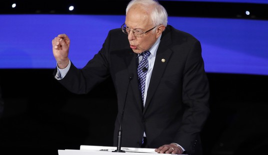 And Then They Came for Bernie
