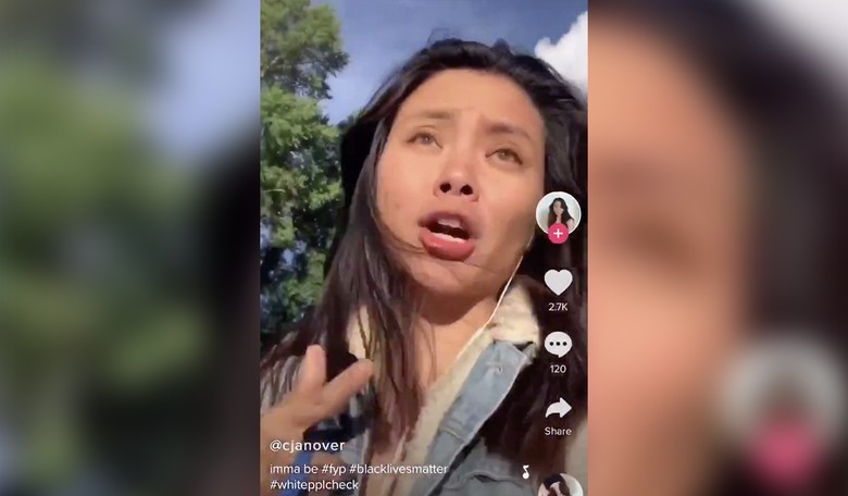 Harvard Grad Feels the Impact of Cancel Culture When a TikTok Video About Black Lives Matter Got Her Canned