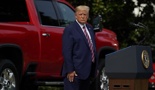 Anti-Trumpers Spout Radical Ideas for 2020 Election 