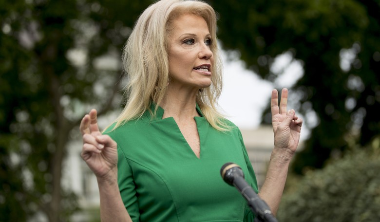 Kellyanne Has Quite the Response to Being Told to Resign or Be Removed from Military Academy Advisory Board