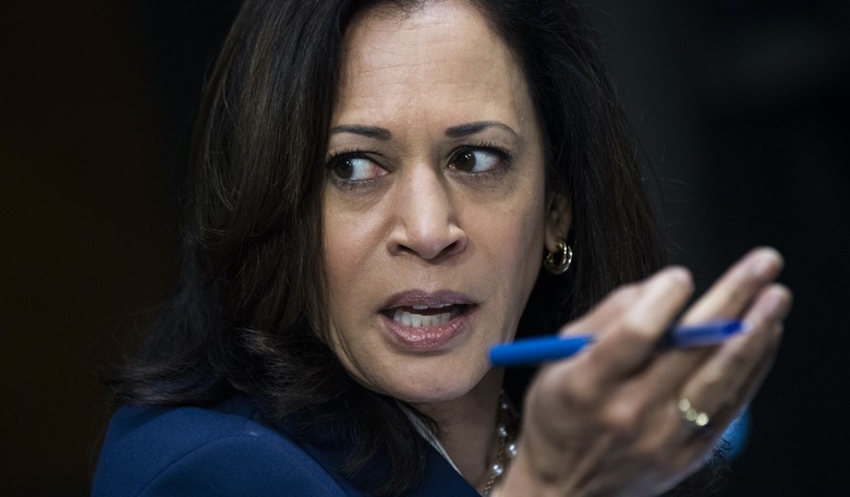 Kamala Harris Is the Perfect Choice for VP 