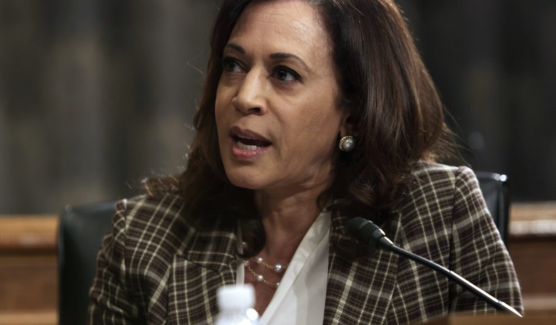 Kamala Accused of Pushing Marxism in New Video 