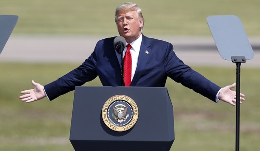 In 2020, Ideas Actually Matter to Voters
