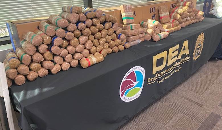 Time to Fully Support Our Drug Enforcers – If Not Now, When?