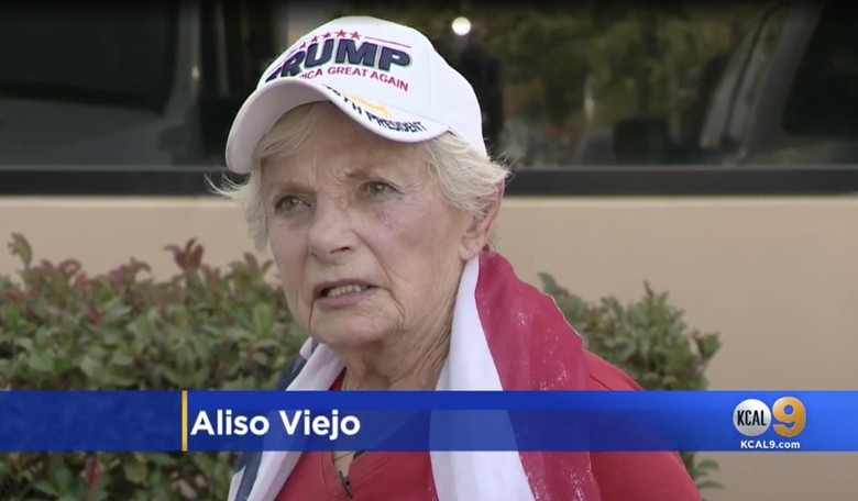 Man Attacks Group of Trump Supporters, Punches Elderly Woman in the Face