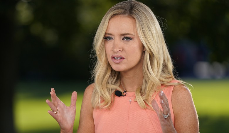 Kayleigh McEnany Rips into 'Orwellian' Thanksgiving COVID-19 Restrictions