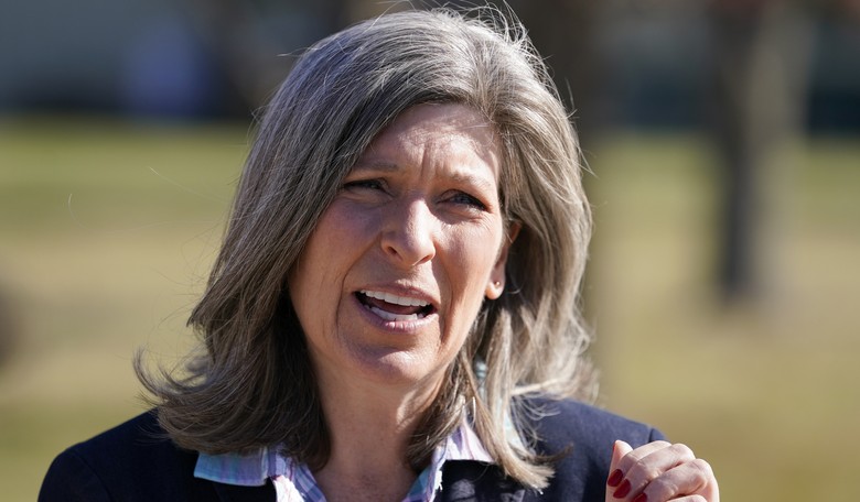 Joni Ernst Lays Out Thanksgiving Menu to Cut Waste  
