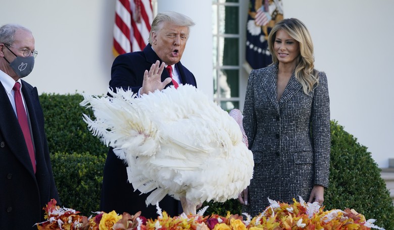 'Happy Thanksgiving to All, Including the Radical Left Lunatics': Here's Trump's Thanksgiving Message