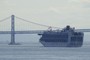 Viral Outbreak Wreaks Havoc on Cruise Ship