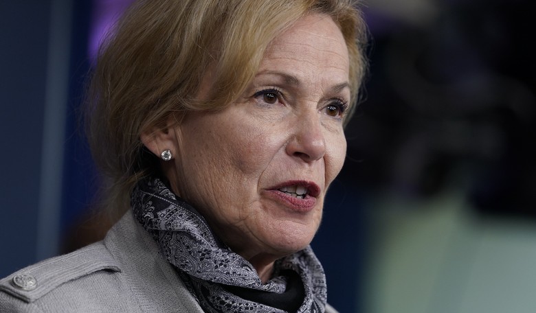 Dr. Deborah Birx Fleshes Out Some of the Unclear Statistics We've Been Seeing