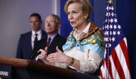 Dr. Birx Makes Stunning Claims About Coronavirus Task Force