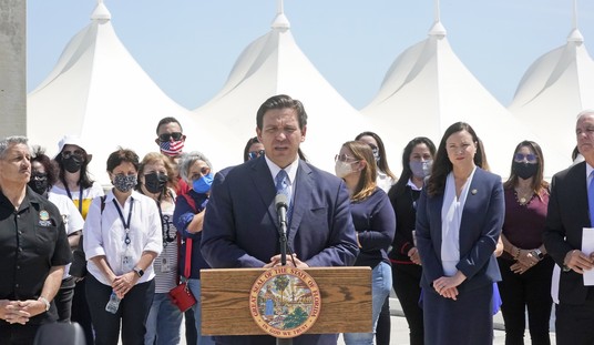 Ron DeSantis: A Steady Hand in a Sea of Chaos