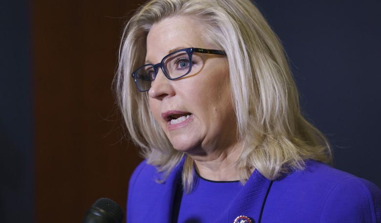 Delicious: Liberal Tears Flow After Liz Cheney Gets Crushed