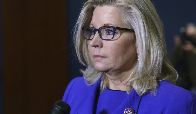 Latest Poll on Liz Cheney Is Not Shocking Whatsoever