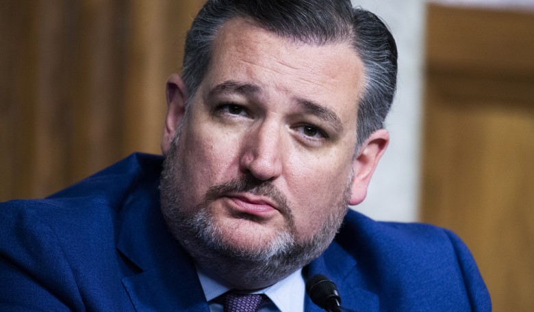 Cruz Slams Companies Requiring Covid Vaccines for Employees: 'I Believe in Individual Responsibility'