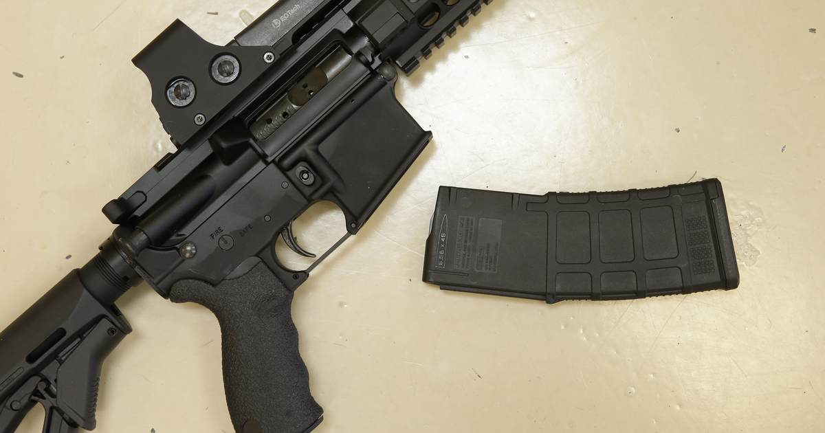 Only Criminals Will Have Guns