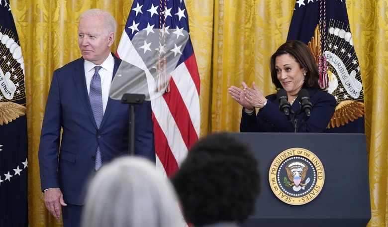 They're Screwed: Democrats Have Chosen Their Secret Weapon for the Midterms