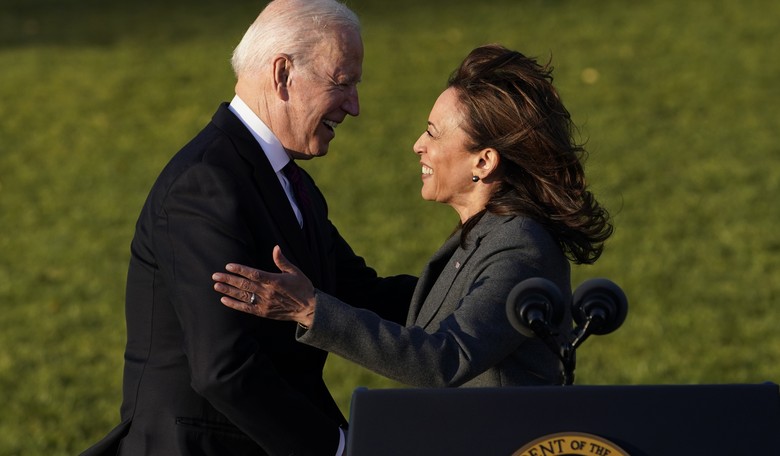 Is This Woman Biden's Supreme Court Pick?