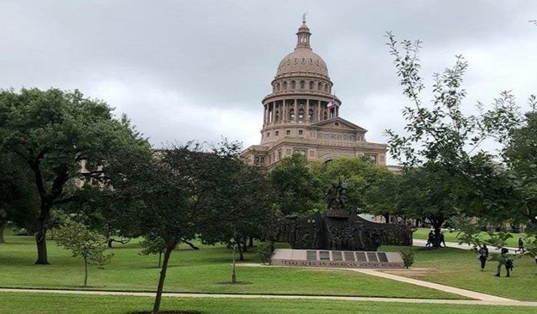 Texas Democrat Goes Viral After Pitting Whites Against Minorities