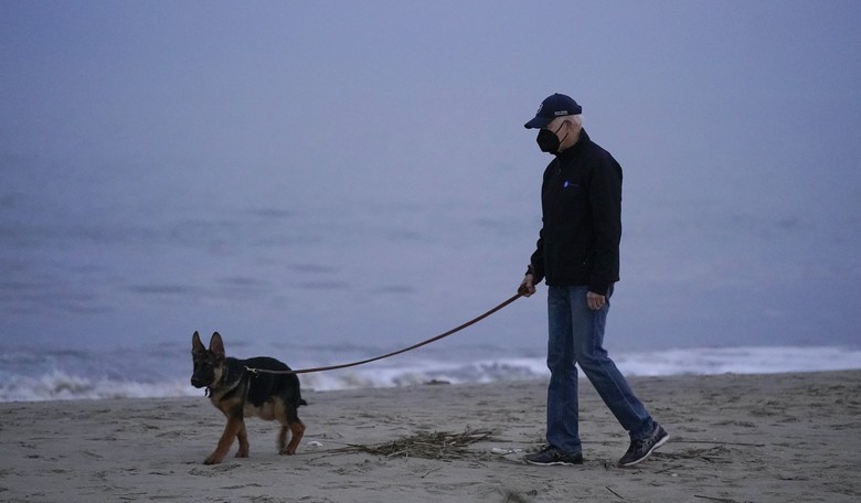 Biden's Dog Bit Someone...for the Eleventh Time