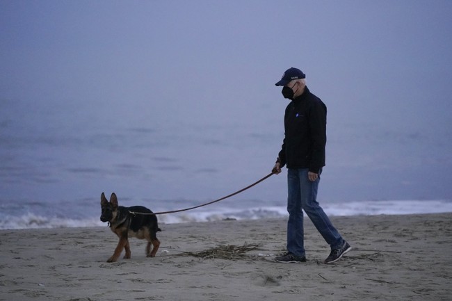WOOF: Harry Sisson Barks Up the Wrong Tree Trying to Fluff Biden's Love for Dogs